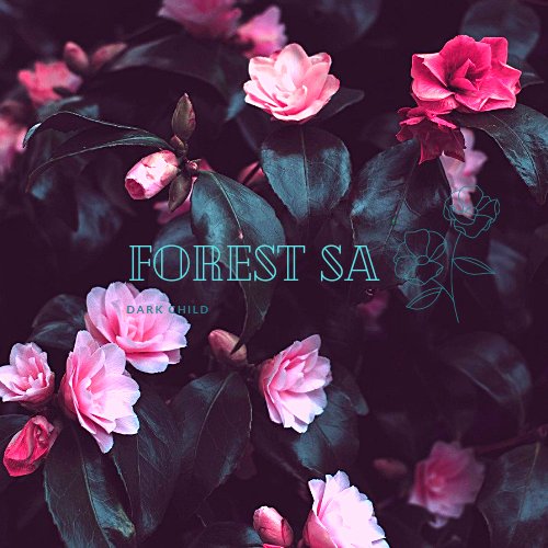 _Forest_SA's tweet photo. https://t.co/zE9tqXYryl