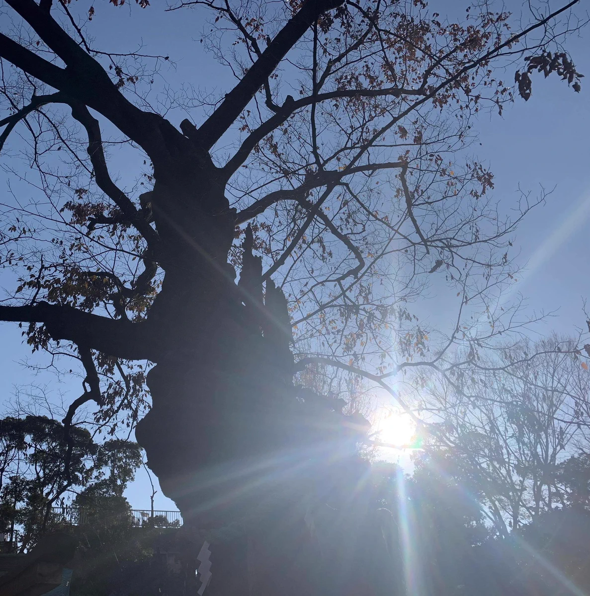 本日は最強の吉日「一粒万倍日と天赦日」が重なる大変縁起がよい日です。