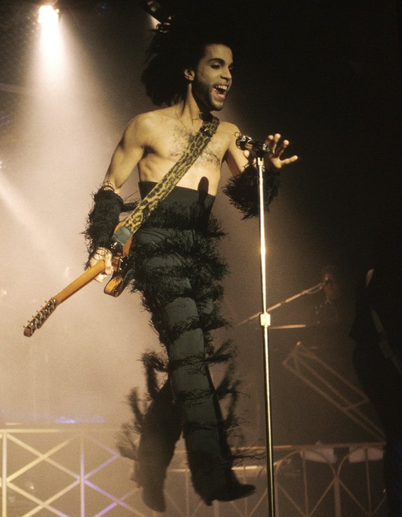 Prince as birds.A thread.