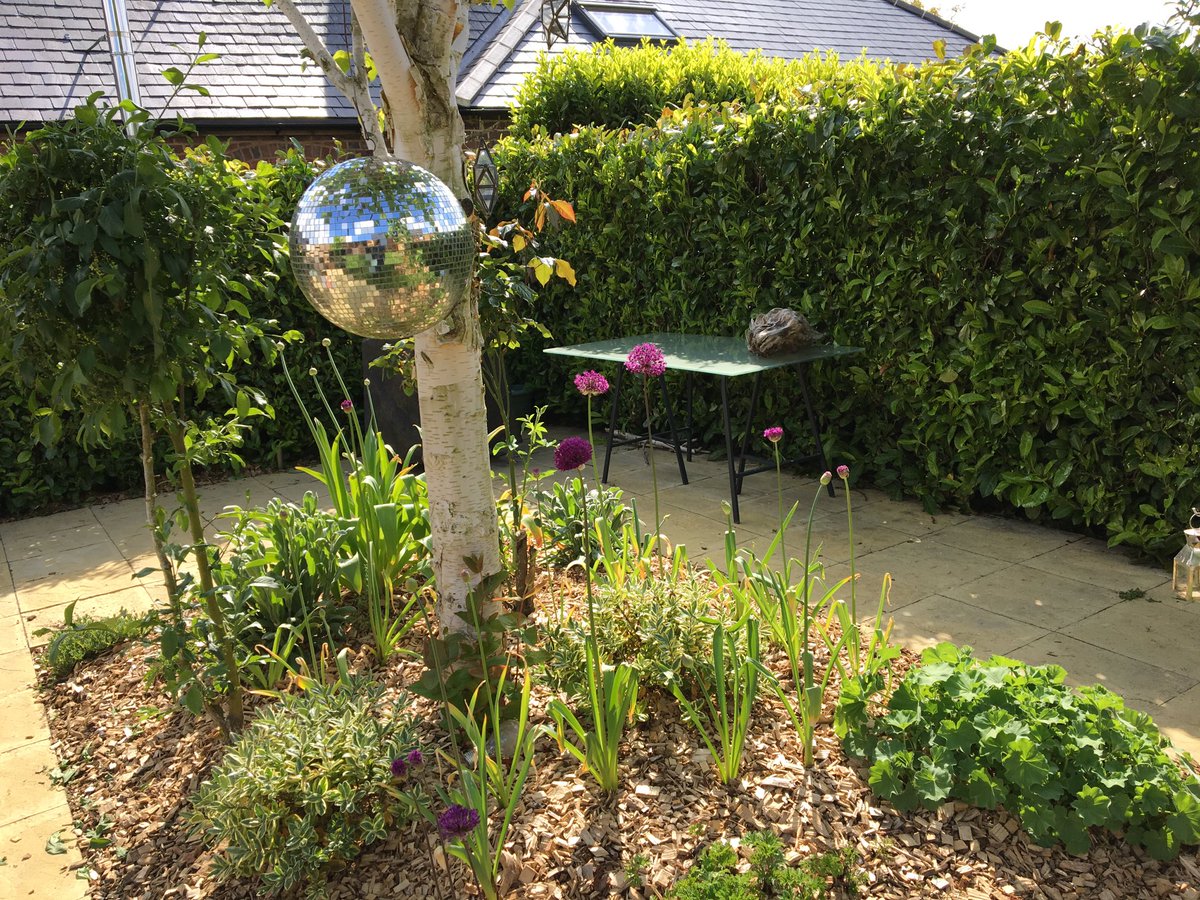 Jenjaneuk's tweet photo. #gardenersworld #discoball https://t.co/7I8k1TjXah
