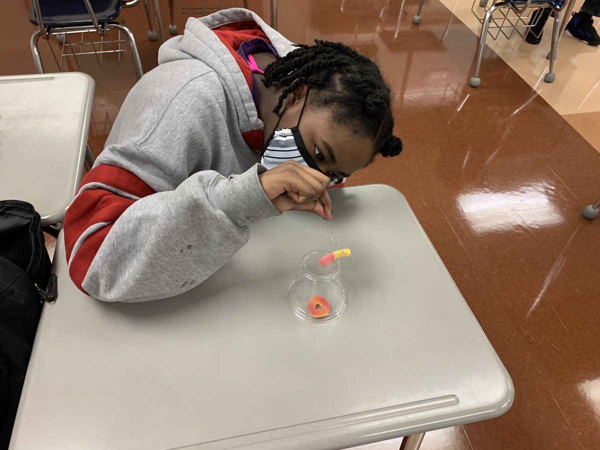 sciencewithMsR's tweet photo. Save Fred #STEM activity with my students today. Did I mention how great it is to see kids in my classroom? @Falcons_NWMS https://t.co/U1XdNHKAyt