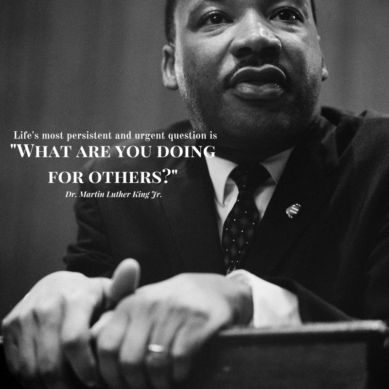 Mr. Hayden History tweet media