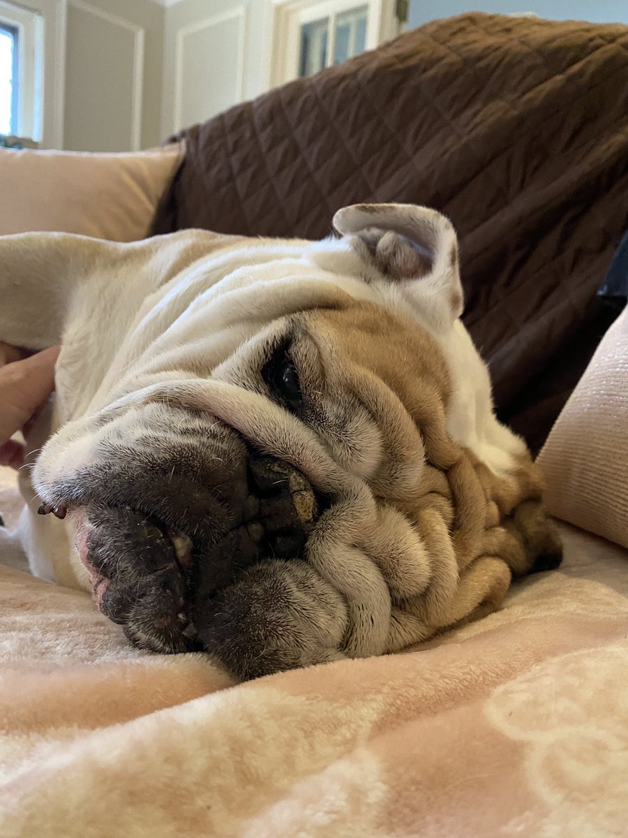 Catsemail's tweet photo. Is the workday over? Can I get some attention over here? https://t.co/zfiWmoDnJo