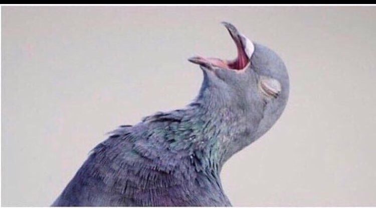 shxnsei's tweet image. One day I was chilling, I was billing, got me thinking bout my niggas that be locked in the wing thoughhhhhhhhh