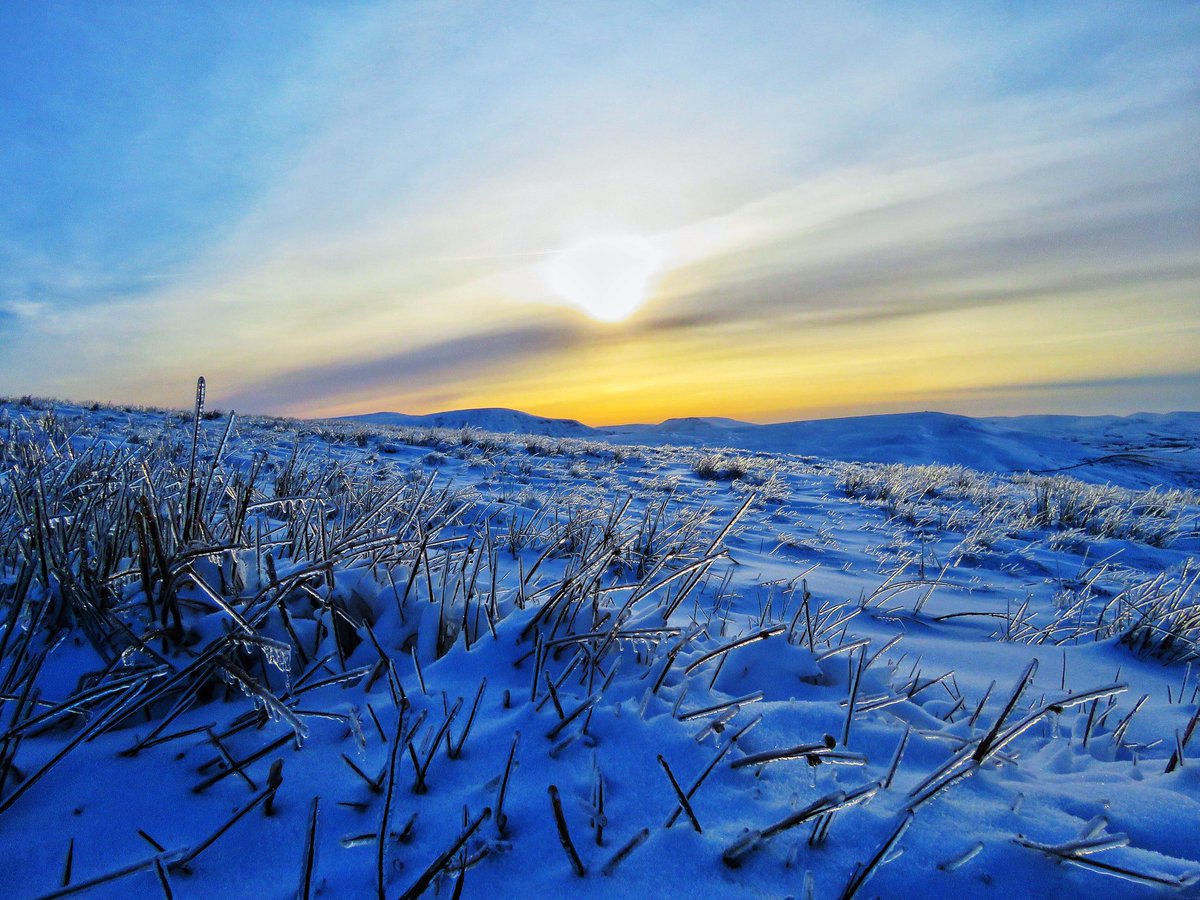 oldcrofthouse's tweet photo. Walking into the sunset.
With one walk a day pick your time wisely.
#onewalkaday #savethebestforlast #walkingonsunshine #sunsetwalk #sunsetphotography #landscapephotography #wainwrightscoasttocoast #walksfromthedoor #kirkbystephen #Cumbria @VisitEden #yorkshiredalesnationalpark https://t.co/zun6Sc7oaD