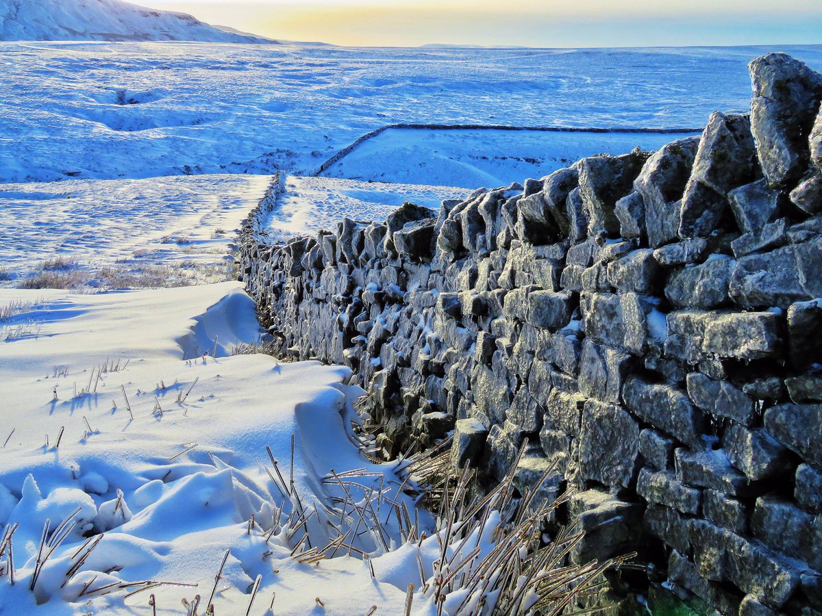 oldcrofthouse's tweet photo. Walking into the sunset.
With one walk a day pick your time wisely.
#onewalkaday #savethebestforlast #walkingonsunshine #sunsetwalk #sunsetphotography #landscapephotography #wainwrightscoasttocoast #walksfromthedoor #kirkbystephen #Cumbria @VisitEden #yorkshiredalesnationalpark https://t.co/zun6Sc7oaD