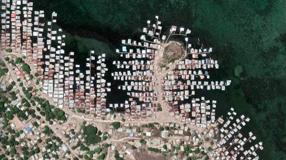 Global Land Use Patterns tweet media