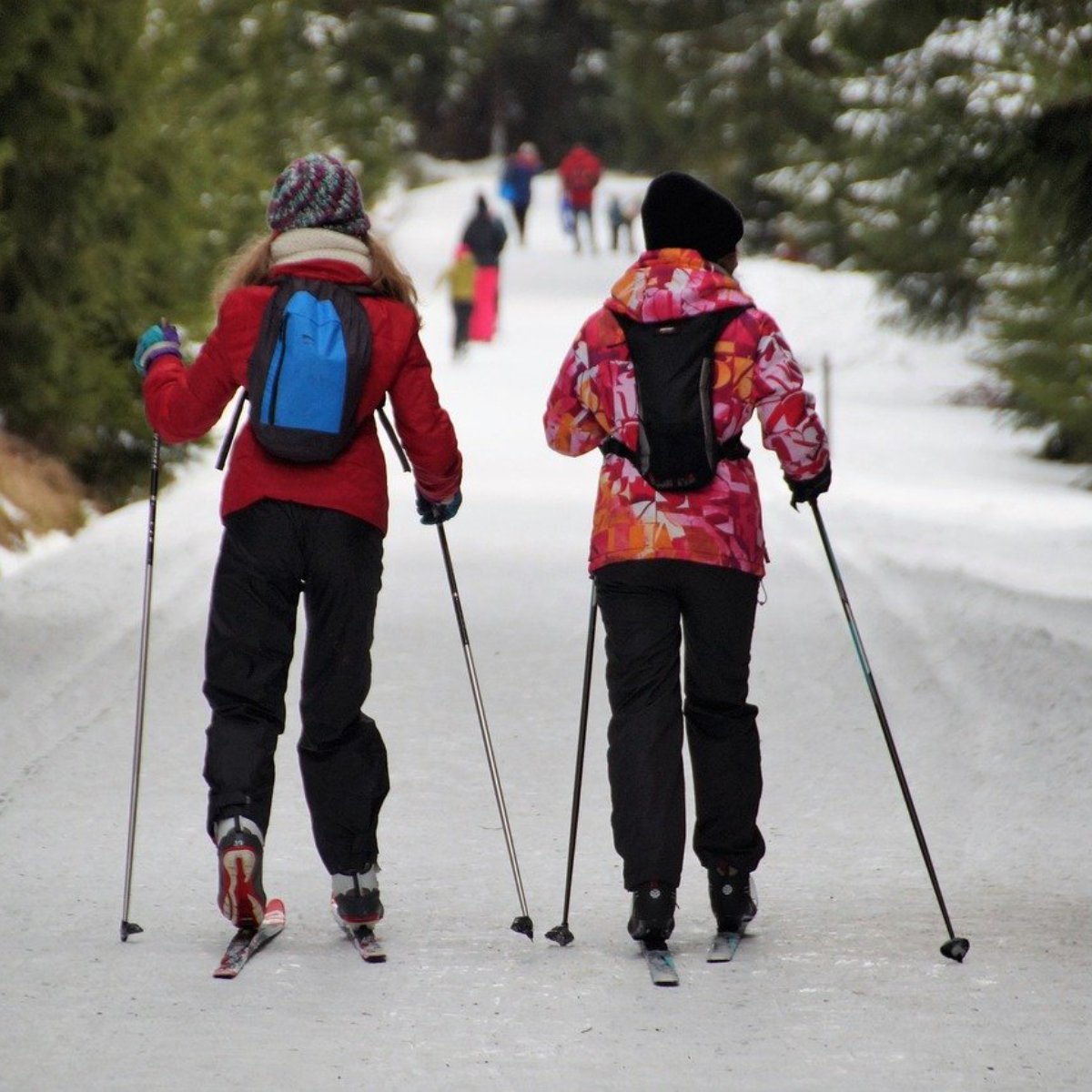 FGRESORT's tweet image. Enjoy an adventure in a winter wonderland. Now renting cross country skis for only $15/day.