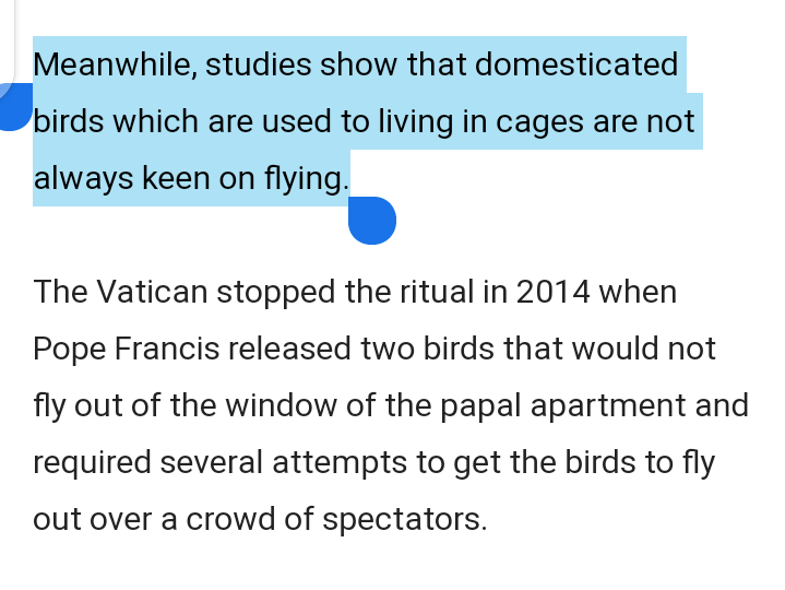 shittu10's tweet photo. Obviously #wailers and cohorts are so starved of bad news that the non-flying caged pigeons provided a glimmer of hope for them.
Bunch of #evilsouls. https://t.co/GszfyYE42o