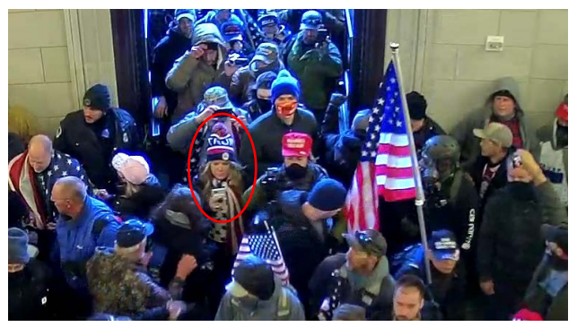 Ryan was charged with "Knowingly entering or remaining in any restricted building or grounds without lawful authority", and "Disorderly conduct on Capitol grounds". In a now deleted Facebook post, the FBI says video shows Ryan entering via the Rotunda entrance, saying this: