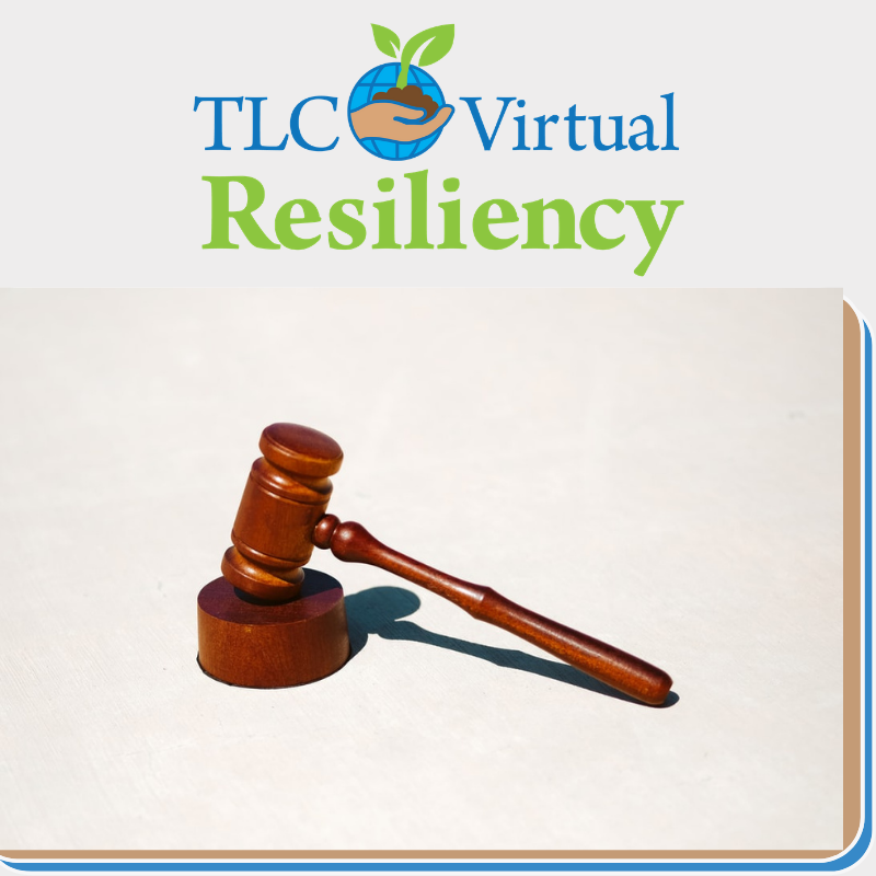 VirtualTlc's tweet photo. Dr. Robert Goldman, Chief Psychologist and Co-CEO of TLC Virtual Resiliency, often comments on the state of the legal profession and legal system, having gone so far as to call the American legal system, the American lethal system. 
.
Read More: https://t.co/aDPt3l7iWU https://t.co/ofULQgZTrb