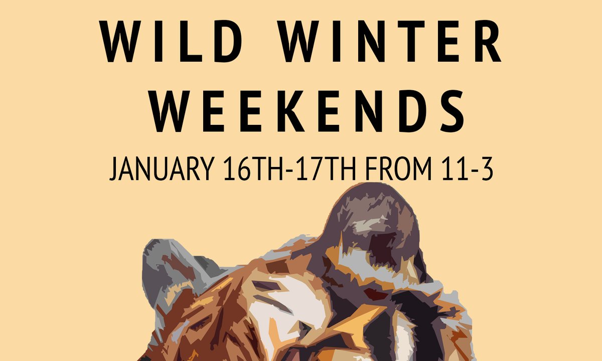 Animal Ark will be OPEN tomorrow from 11-3pm and Sunday from 11-3pm for Wild Winter Weekends. NO RSVP IS REQUIRED! #animalarkreno
