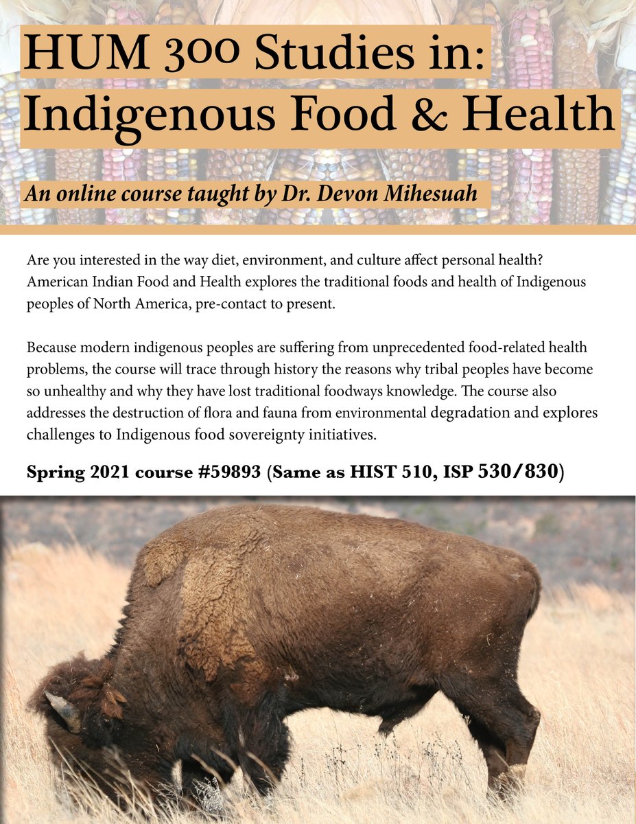 HumanitiesatKU's tweet photo. Are you interested in the way diet, environment, and culture affect personal health? Check out *Studies in: Indigenous Food &amp; Health* for Spring 2021! 

Taught by Dr. Devon Mihesuah, citizen of the Choctaw Nation of Oklahoma, award-winning author of seventeen books 😀

hum@ku.edu https://t.co/vaKUod1QbC