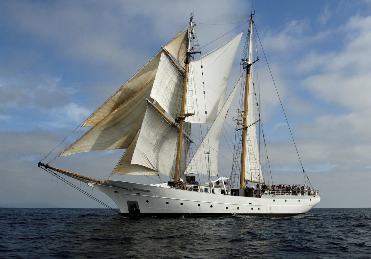 I fell in love with sea shanties while working on  @SEA_Semester ships, where I got to sing them as actual work songs - mostly on the main halliard (the only line in the rig that was definitely easier to coordinate with a song). by Max McClorie