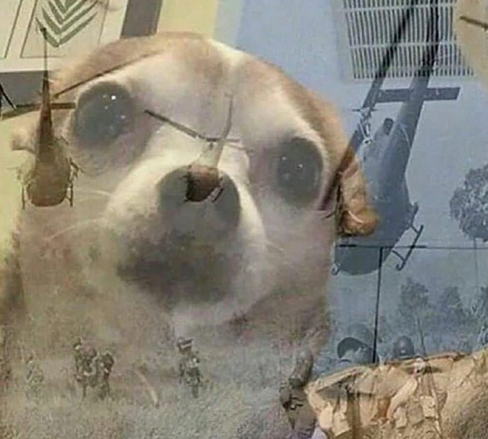 Lost another small league final: 

2:3 in @CRChampionsCup1 vs. 'x8-gaming' , GG's 🌋

Unfortunatly we lost the 2v2, otherwise it wouldve been a clean 3:0 🙄😂