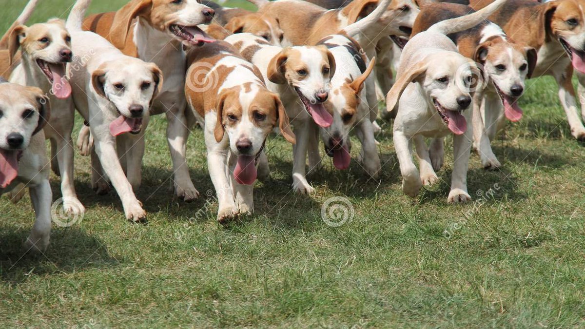 STEP 1 is not to follow the large account that you're targeting.In fact, forget about them entirely.See when I was new, I joined in with all the other attention-hungry growth hounds.I played the game as hard as I could. I even set notifications for some of these guys.