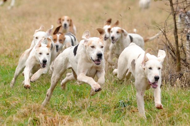 Especially Naval.As soon as the bell rang, it was off to the races.Quickly reading his tweet, I would hurry - not to digest the meaning or understand, but to find a clever spin on it and regurgitate into his replies.