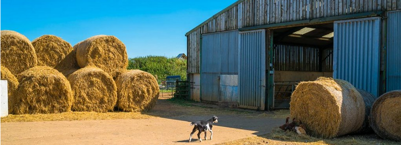 TimePartyUK's tweet photo. The Time Party will ensure farm subsidies focus on increasing production and maintaining or raising quality standards. Under TIME, farmland will be protected from residential and industrial development as we recognise that the UK’s food security is vital. https://t.co/qbNzuigF5g https://t.co/9LCf6QP3y8