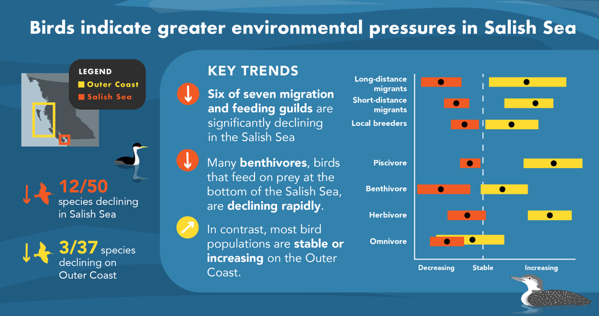 6 of 7 bird groups declining in  #SalishSea are stable or increasing on Pacific Ocean coast! Key finding: steepest declines in benthic feeders including Surf, White-winged & Black scoters, Long-tailed Duck, Black Turnstone, Dunlin = poor inter-/sub-tidal habitat quality?