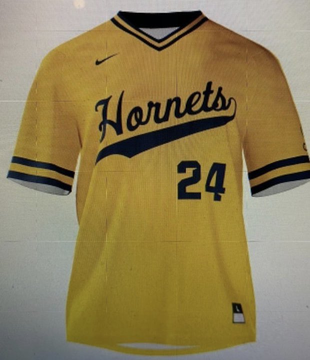 PrepBaseballMI tweet picture