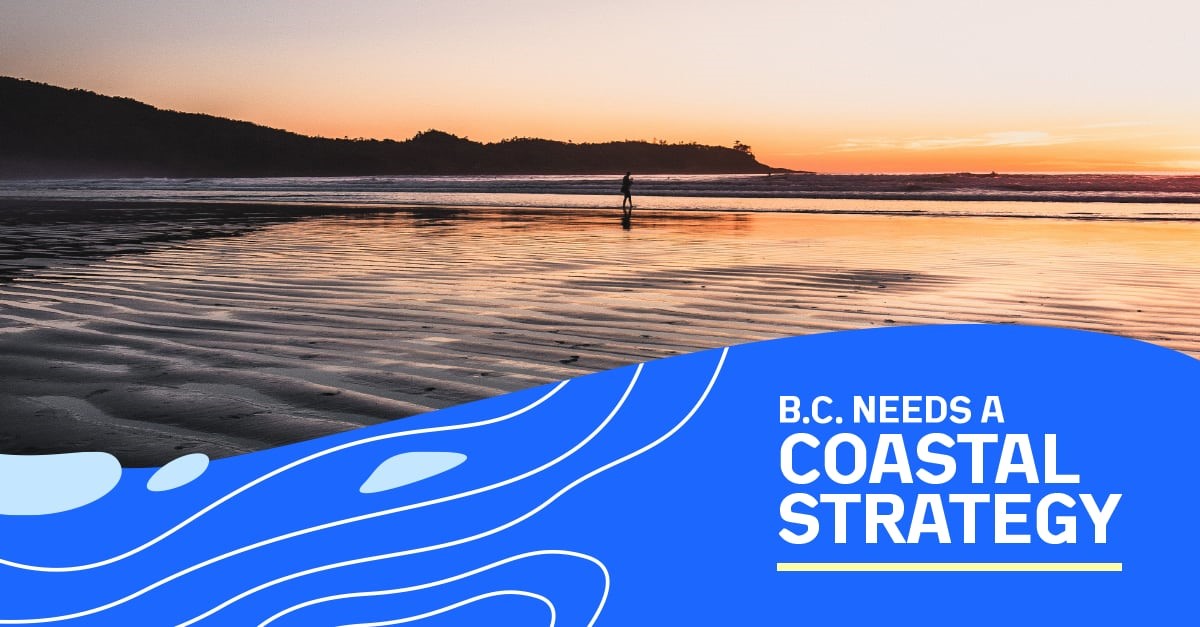Birds indicate greater environmental stress/poorer habitat quality in Canadian  #SalishSea vs. Pacific Ocean coast, adding to evidence of the need for the BC government to follow through on their commitment to a Coastal Marine Strategy  #BCCoastalStrategy
