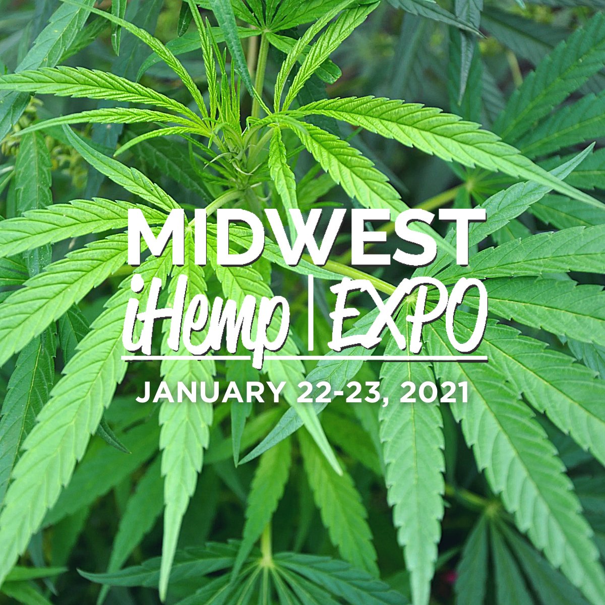 Next week is the Midwest iHemp Expo! #HFC's Executive Director Hunter Buffington will be speaking on efforts for federal approval of #hemp as an animal feed ingredient. Get your virtual expo pass now at midwestihempexpo.com!