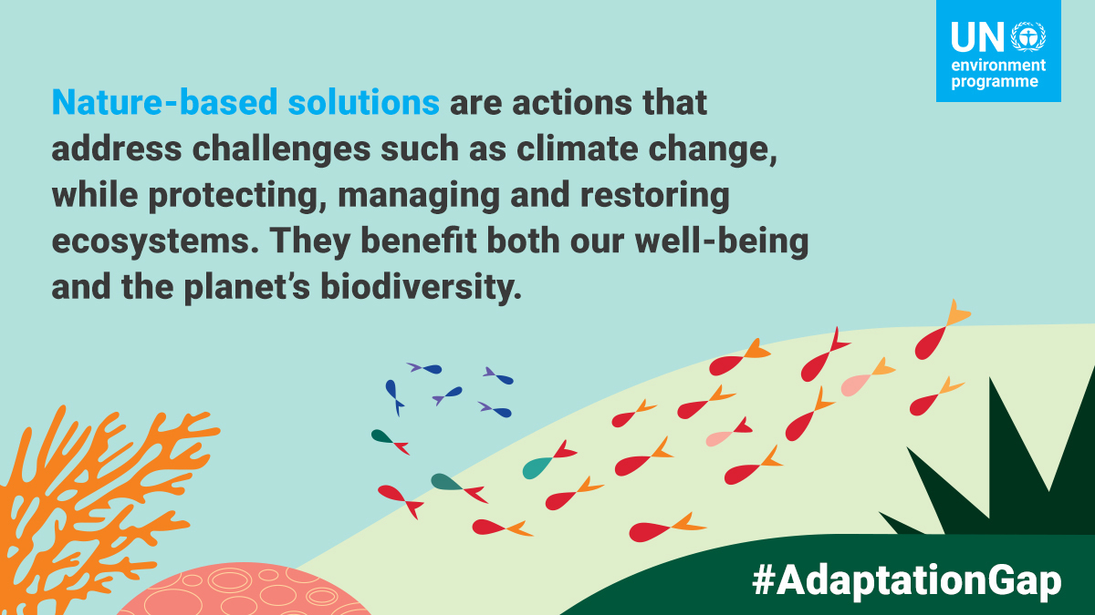UN's tweet photo. Nature can protect us: 

From restoring mangroves to defend against coastal flooding 🌊 

to reforestation to remove greenhouse gases from the atmosphere 🌳

nature-based #ClimateAction is a win-win-win for people 👥, our planet🌍 &amp; our economies 📈. https://t.co/xloASatmuP https://t.co/ov4IihK60B
