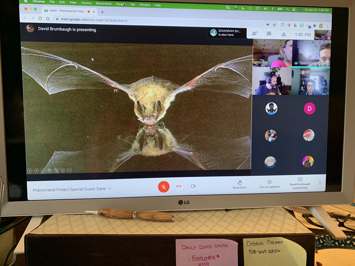 Grateful for amazing and generous people who give their time for a PHENOMenal Friday! Dave, a Park Ranger with the Carlsbad, NM National Park spoke to our 9th grade Biology students about cave organisms and ecology. He inspired a lot of future spelunkers! <a href="/SCSchools/">Schenectady Schools</a>