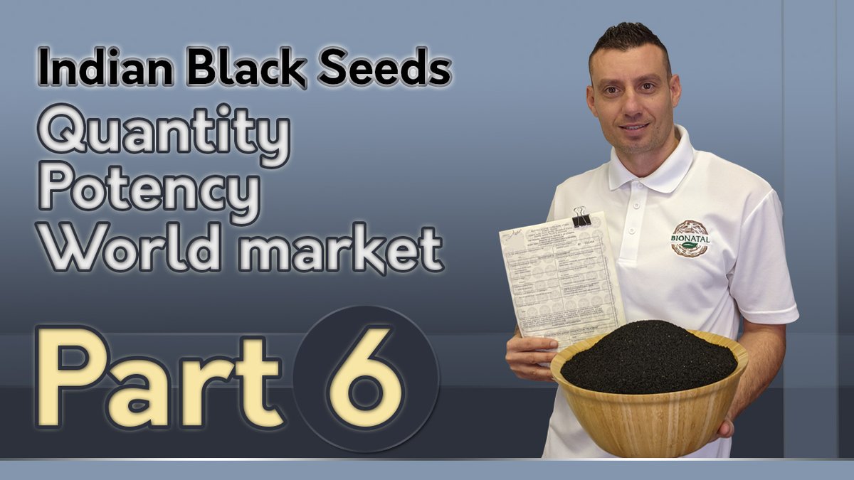 BionatalI's tweet photo. Indian Black Seeds: Quantity, Potency, World Market. Part 6. On our YouTube Channel   https://t.co/g2jdJxqztn #blackseedoil #nigellasativa #investigation #Ayurveda #ayurvedic #immunebooster https://t.co/mG9e6Kbufd