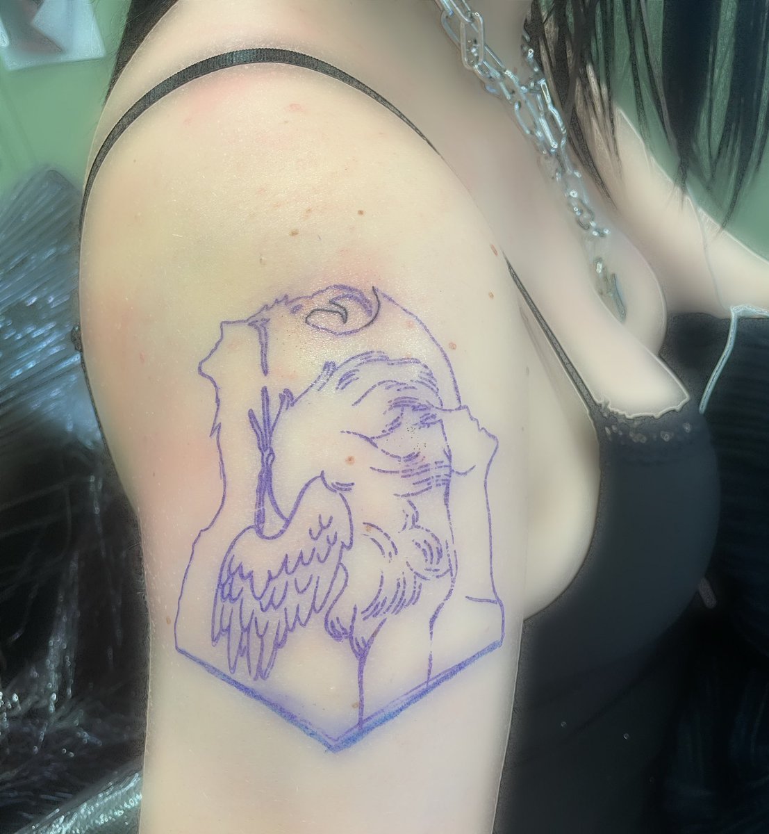 shelluriv's tweet image. Je veux PLEURER