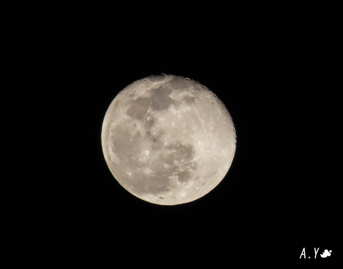 yumeasutw's tweet photo. 今宵も月が綺麗ですね🌕✨
晴れ渡る東の空高く
#居待月(月齢17.3)が
煌々と街を照らしています✨
流石に、夜は冷え冷えです😖
早々に部屋へ退散しました。
#いまつき #イマツキ #月 #moon
#夜空 #宙の名前
#a2021 #a0130 #a202101 #a2021015 https://t.co/Pc81TyvY55