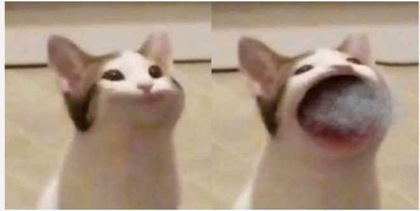 Es-24SGVEAIi1wY?format=png&name=small