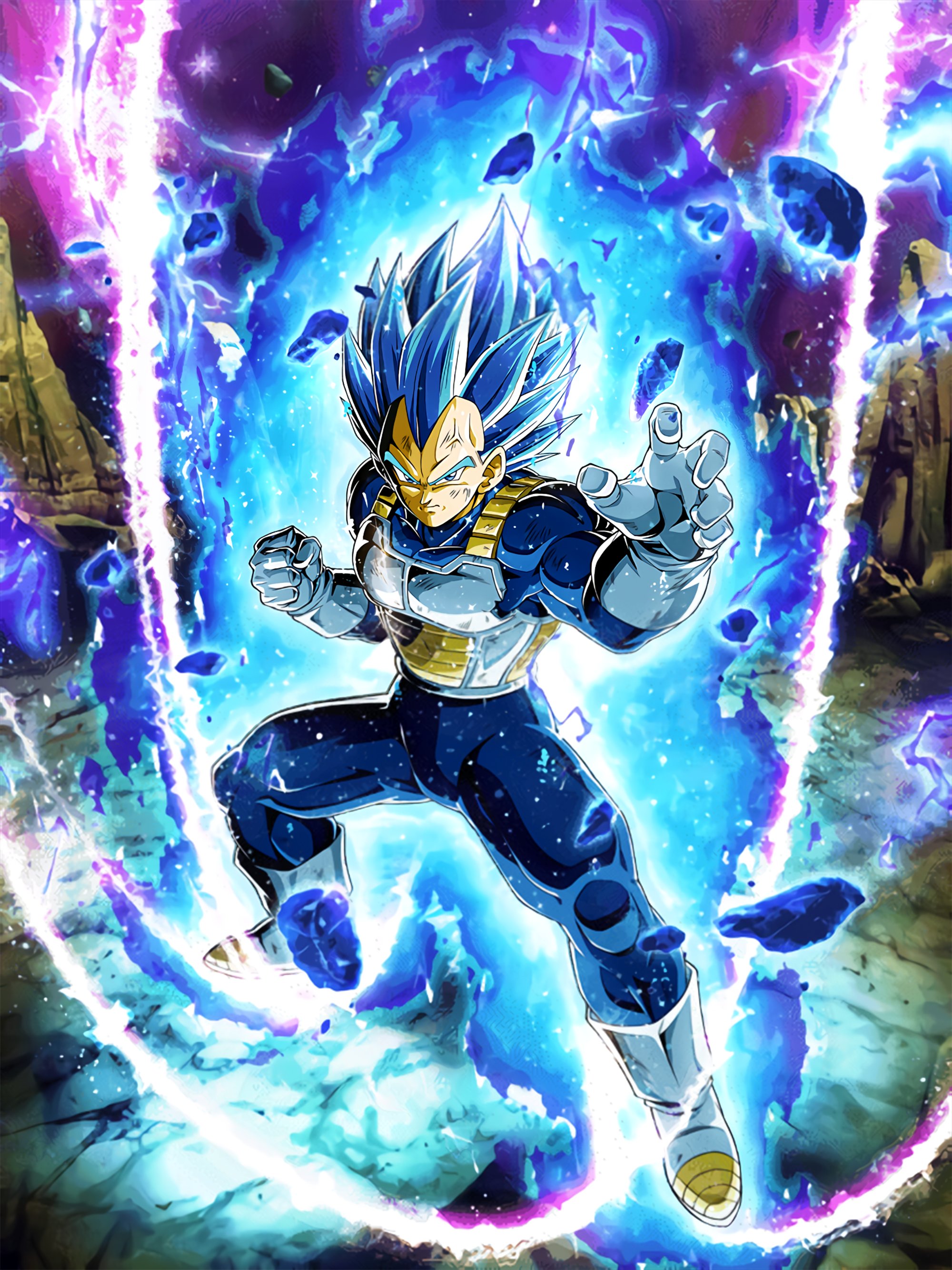 Ssj2 Majin Vegeta VS Super Saiyan Blue Evolution Vegeta(魔人ベジータVSブルーエボリューションベジータ)  