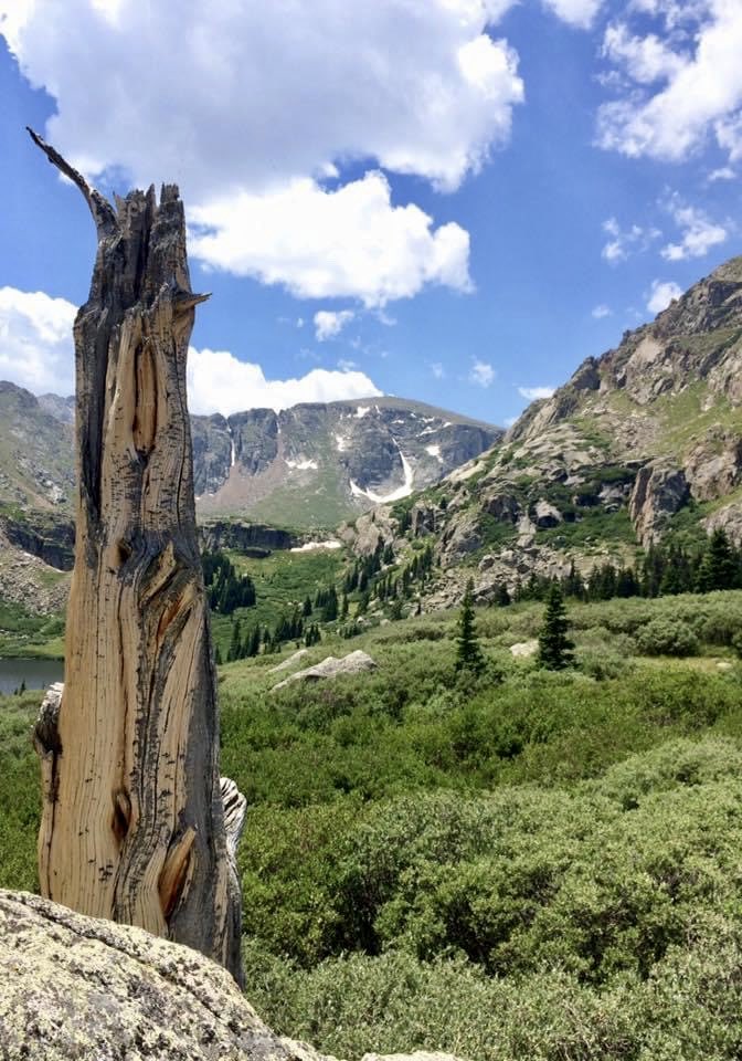 MikeB1MileHi's tweet photo. Good morning &amp; happy Saturday from Colorado!
With the cold weather hitting a good part of the country I thought a summer picture might help warm things up! 
Have a great weekend!! https://t.co/G5V0kIoK1K