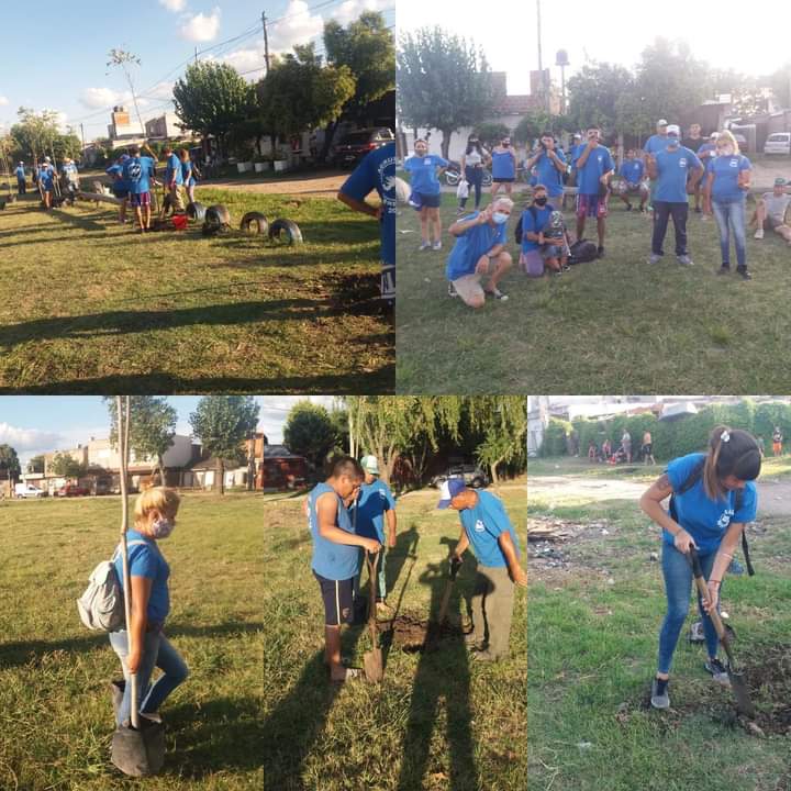 Mauriciocanosa's tweet photo. Jornada militante en Barrio Nuevo !!! Se plantaron más de 20 árboles!! Gracias por la donación de los mismo Matias!!!! #GustavoMenendez #LaM2015 https://t.co/w7r5w5mCOo