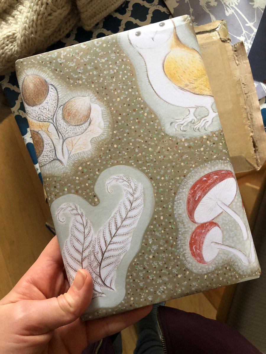 katiejarvis's tweet photo. Again, @YLBookshop triumphs. Ellie loved the book; and, equally, the beautiful wrapping. #postalexcellence https://t.co/4dGSrdjUva