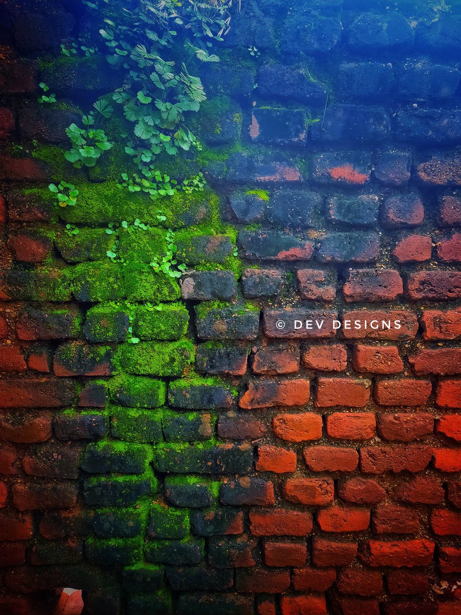 DEVDESIGNS3's tweet photo. Wall of greeny #devdesigns #devarajavelu https://t.co/Fdy6gd80AN