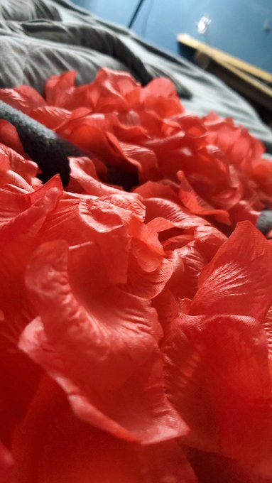 TW Pornstars - ☆Bunne☆. Pictures and videos from Twitter.