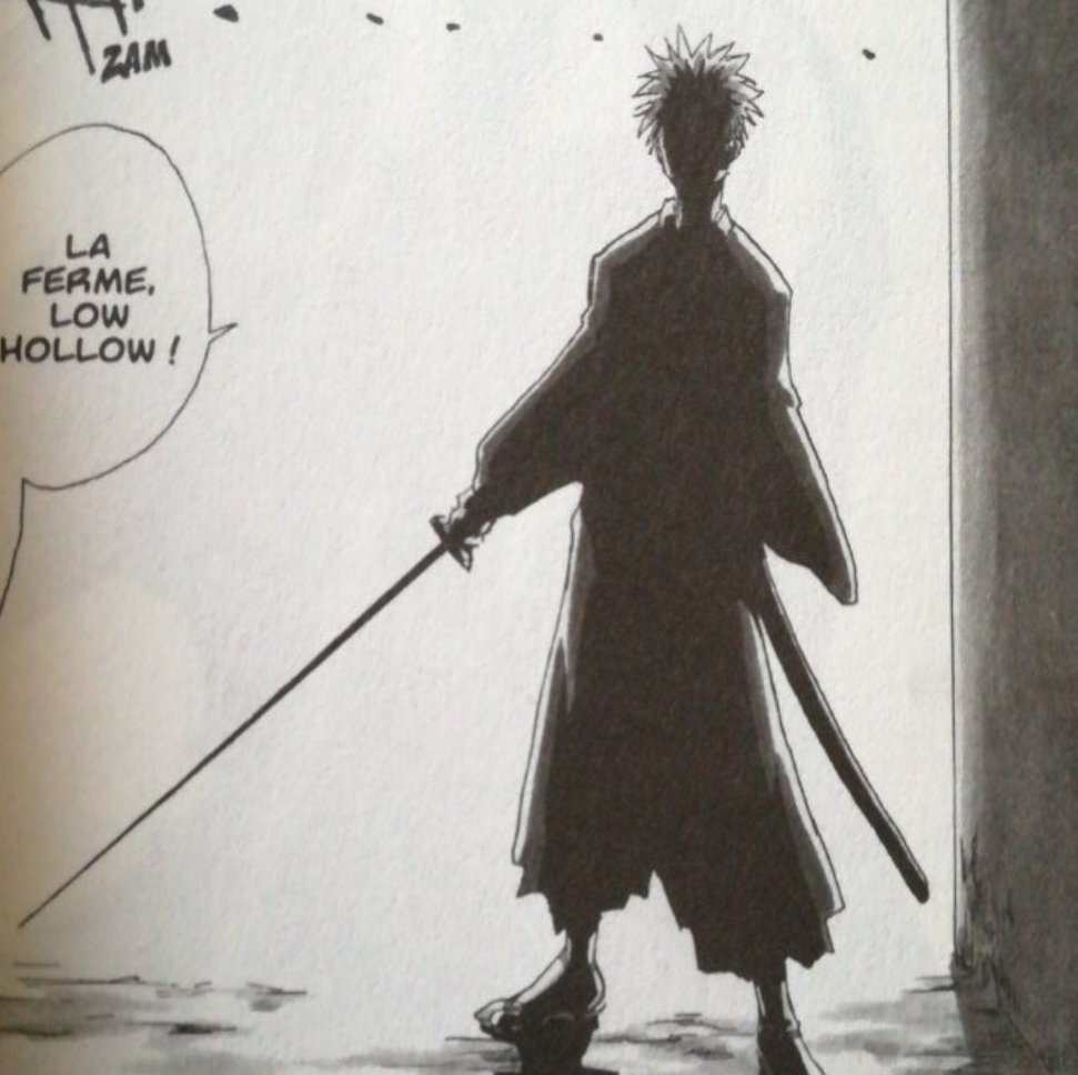Le zanpakuto d'Ichigo à une taille basique et non sa taille qui a choqué beaucoup de personnes.
