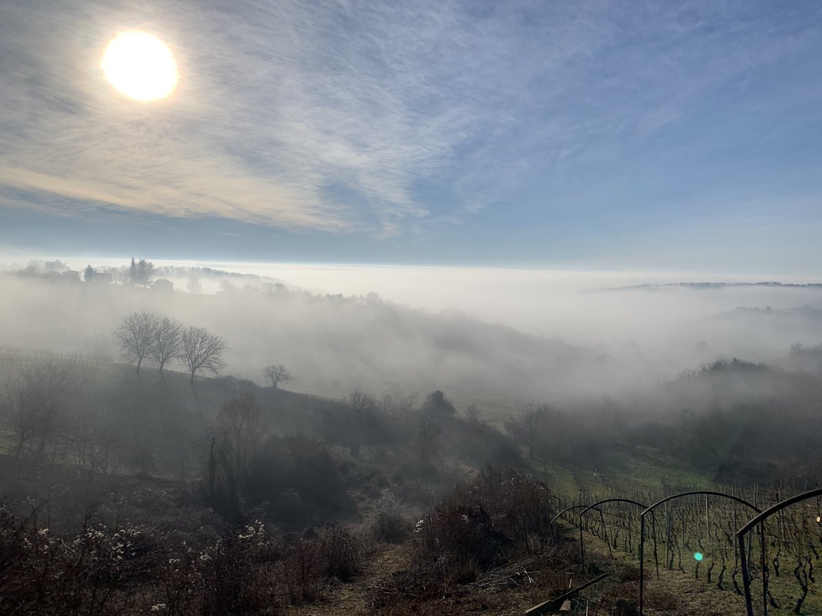 hrvojeglasnovic's tweet image. #outofofficereply