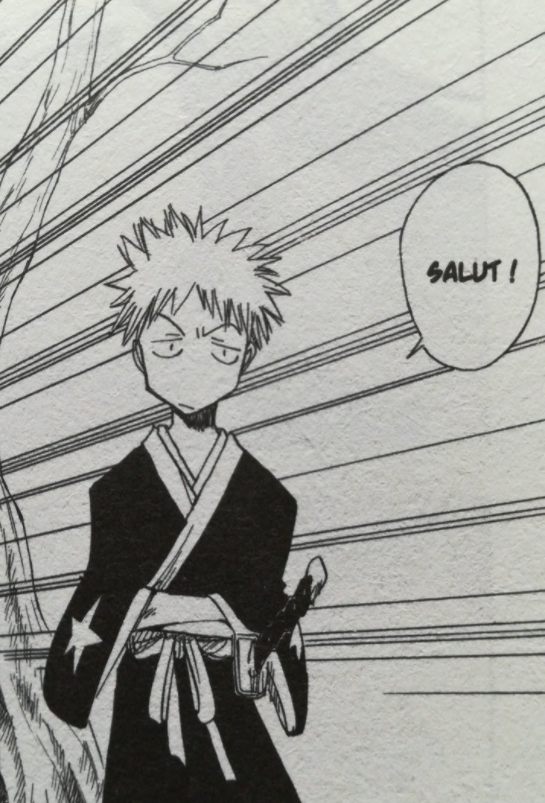 Ichigo arbore des motifs d'étoiles sur son kimono tandis que Rukia elle à des motifs de flammes.