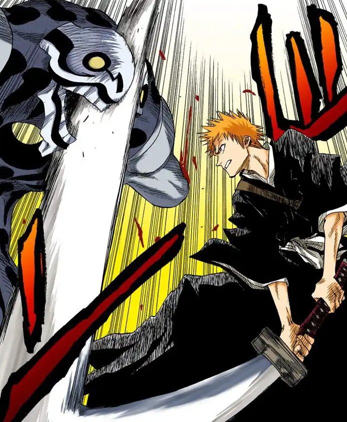 Ichigo arbore des motifs d'étoiles sur son kimono tandis que Rukia elle à des motifs de flammes.