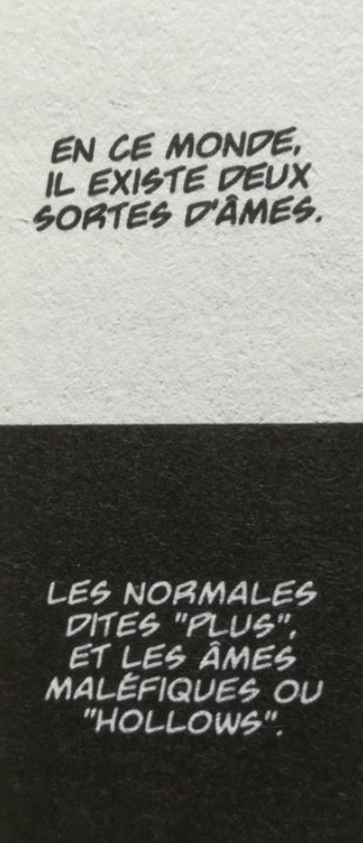 Le principe des "Plus" et des "Hollows", les deux types d'esprits, est bien présent.