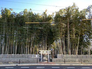 八幡の藪知らず入ってみた動画 過去の事件や伝説や水戸黄門伝説など バズーカnews 怖い話と都市伝説
