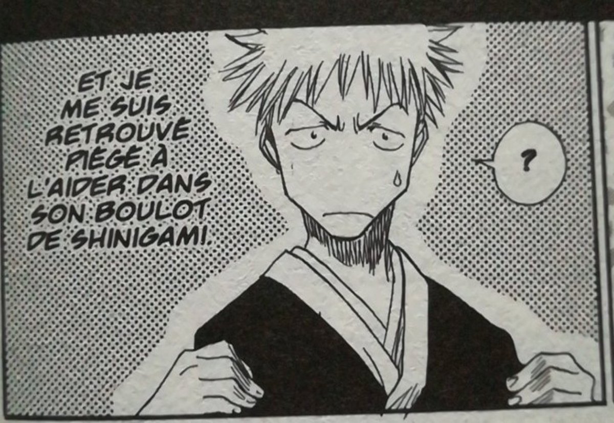 Ichigo qui accepte son devoir de Shinigami alors qu'il est inpliqué plus ou moins sous la contrainte à la base (même si ça faisait parti du plan d'Aizen)