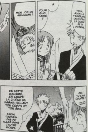 La chaine du karma des esprits qui les maintiens au monde et le fait que certains Plus n'aient pas envie de quitter le monde des humains car ils ont des regrets, entrainant ensuite la transformation en Hollow