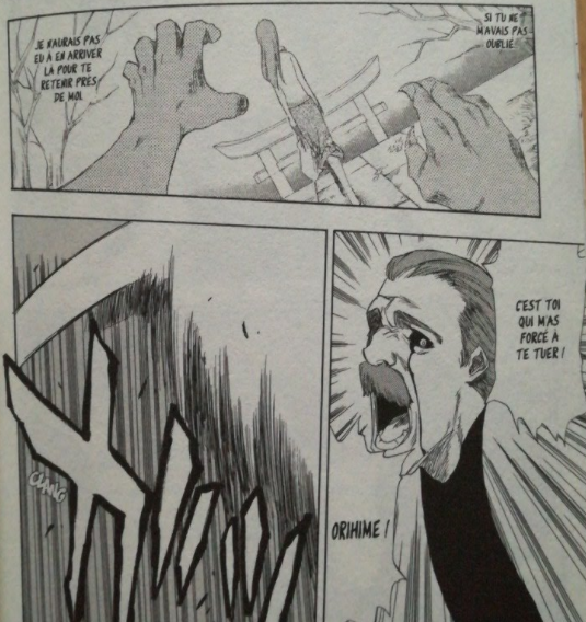 L'accident d'Orihime qui est provoqué par son défunt proche.