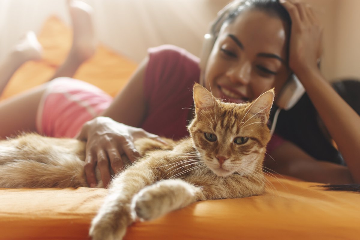 Edition Cat Magazine tweet media