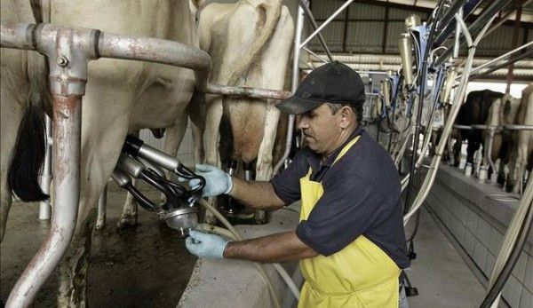 ganaderoespacio's tweet photo. Crean vacuna contra la mastitis bovina
https://t.co/UE3rv156Zr https://t.co/Y0wisE0cXF
