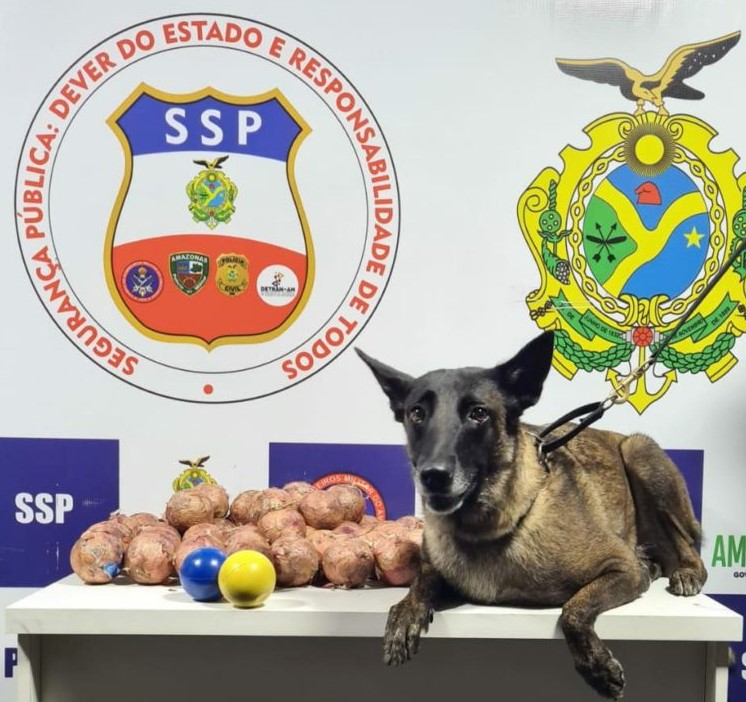 Amazonas Police reinterpret Paul Cézanne's "Still Life with Onions"